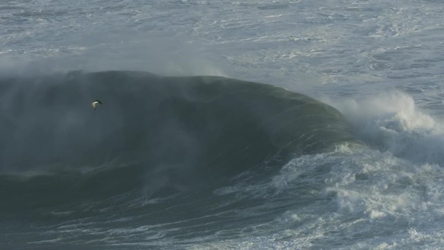 Aerial of crashing wave Pacific Ocean Mavericks USA