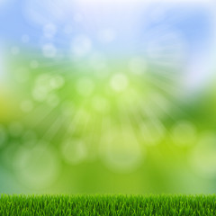 Obraz premium Green Bokeh With Green Grass Border