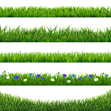 Green Grass Collection Border Isolated