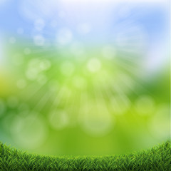 Obraz premium Green Nature Bokeh With Green Grass Border