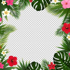 Palm Leaf And Flowers Isolated Transparent Background