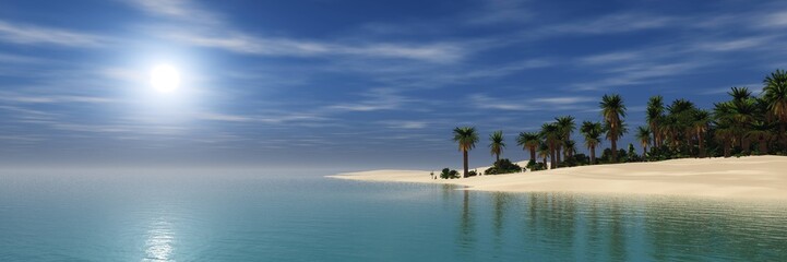 Fototapeta na wymiar Sandy beach with palm trees, a tropical beach at sunset under a blue sky,