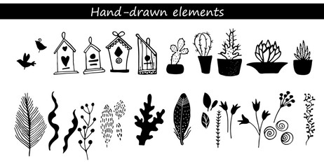 Collection of hand drawn flowers and plant
