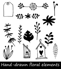 Collection of hand drawn flowers and plant