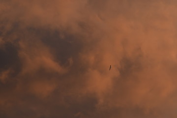 nuages dans un couché de soleil