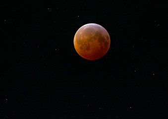 Obraz na płótnie Canvas Blood Moon Lunar Eclipse 2019
