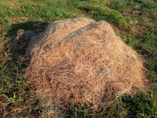 pile of hay among the green grass.