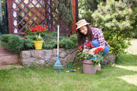 GOrgeous Caucasian brunette dressed in work wear and with hat and gloves planting pelargonium in her backyard.