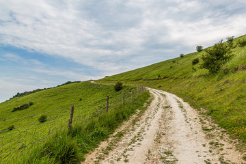 Fototapeta na wymiar A chalk pathway leading up a green hillside in the South Downs in Sussex