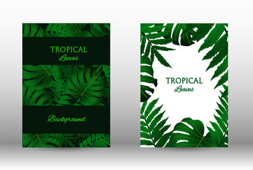 A set of tropic