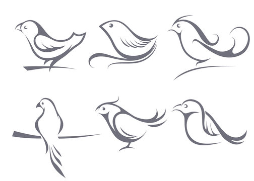 Images of birds, a contour, tattoos, a line. Vector illustration