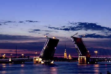 Fototapeta na wymiar Night scene St. Petersburg rising bridge