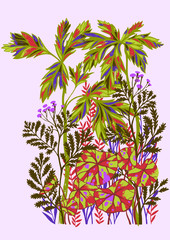 Vector botanical illustration. Floral pencil drawing made of meadow flowers, foliage, stems and leaves. Hand drawn plants. Botanical graphic for poster, card, banner, print.