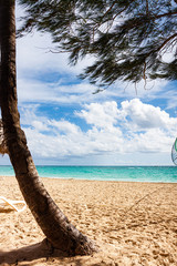 BEACH OF THE DOMINICAN CARIBBEAN AND PALM TRUNK CLOSE TO THE SHORE