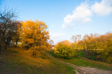 Naklejka premium Autumn forest with country road. Colorful landscape with trees, rural roads, orange and red leaves, the sun in the fall. Travel. Autumn background. Amazing forest with bright foliage in the evening