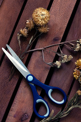CUT DRY FLOWERS AND SCISSORS ON RUSTIC WOOD FUND