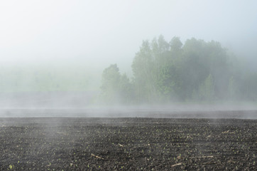 Foggy agricultural fields, lonely tree. Land is left for winter as ploughed land, sowing has passed, spring sun warmed earth, soil dries and steam rises. Beautiful farm landscape in fog