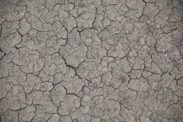 Land with dry and cracked ground. Global warming background