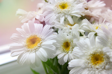 Bouquet of daisies on a white wooden background. Copy space.
