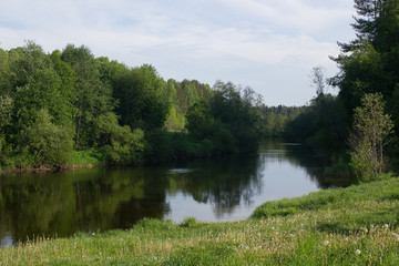 Fototapeta na wymiar forest small river landscape in summer