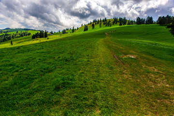 Szlaki i krajobrazy w Pieninach