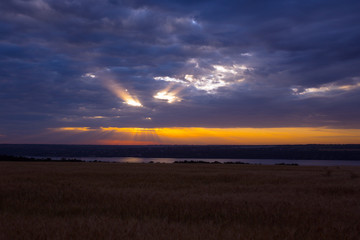 Fototapeta na wymiar sunrise over the wheat field