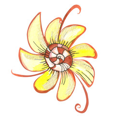 Yellow flower on isolated background.   Fantastic decor flower on a white background.