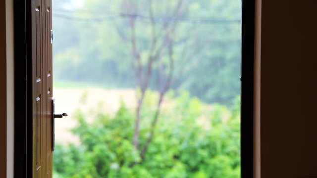 Indoor View From Inside Of House Home Through Opened Doors On Heavy Rain Shower In Farm Garden With Plum Tree, Raspberry Bush With Raining Weather In Blurred Blurry Background