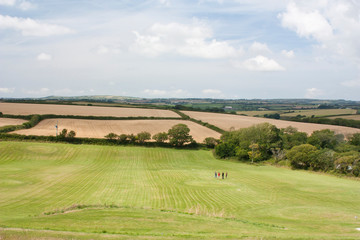 Fototapeta na wymiar Cornish countryside 2