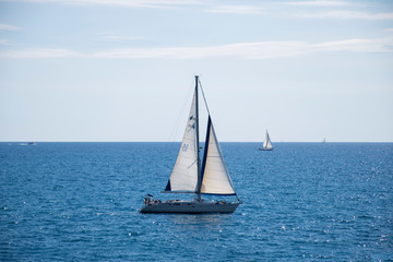 Obraz premium sail boat on the Liguria sea in Italy