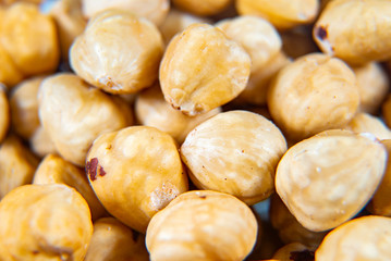 Hazelnut. Fresh organic peeled filbert isolated on white background. Nut macro. Collection. Full depth of field.
