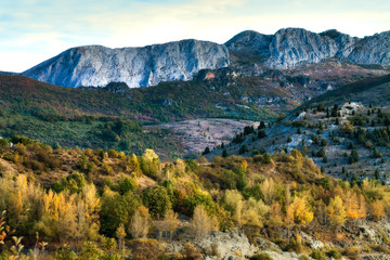 LANDSCAPE OF MOUNTAINS AND YELLOW TREES IN THE NORTH OF SPAIN