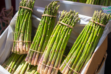 A multitude of cultivated raw green asparagus bundles.