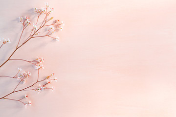 Sprigs with small white flowers on a wooden coral background with space for text - beautiful floral background
