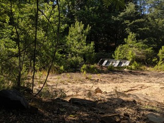 Old abandoned boat in the woods.