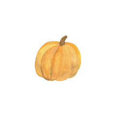 Original hand drawn watercolor pumpkin for halloween and autumn celebrations, isolated object on the white background, healthy food element, clipart useful for halloween party decoration