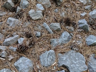 Pine cones, grey stones, and hay