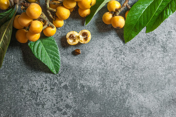 Fresh ripe loquat japanese medlar fruit with branch and leaf on grey rustic table, malta plum, summer fruits concept
