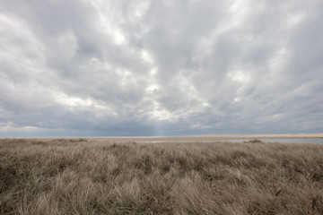 Obraz premium Gray skies over tall grasses and weathered fence on Chappaquidick island