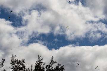 Skydivers Landing at Dillingham Air Field