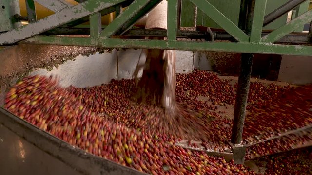 medium WS looking into despadro which is a cleaning destining machine for coffee fruits