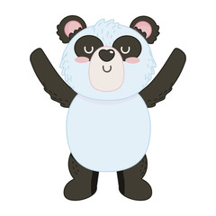 Isolated panda cartoon design vector illustrator
