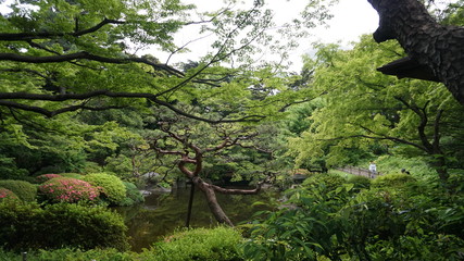 庭園