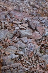 WARDS OF WEATHERING, geological process whereby solid rocks are broken down into smaller pieces, eventually becoming soil, these mineral ecosystems must be conserved or biodiversity will decline.⁷