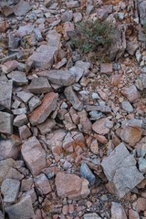 WARDS OF WEATHERING, geological process whereby solid rocks are broken down into smaller pieces, eventually becoming soil, these mineral ecosystems must be conserved or biodiversity will decline.⁷