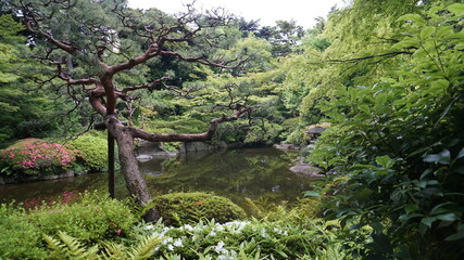 Obraz premium 庭園