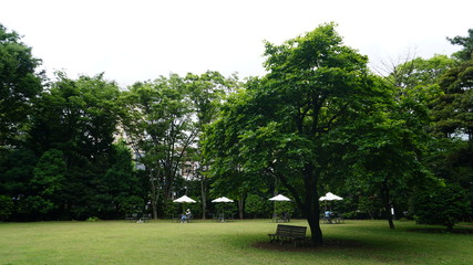 庭園