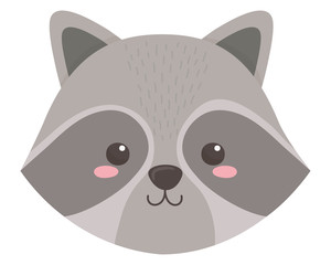Raccoon cartoon design vector illustrator
