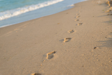 Prints of children's feet on the wet sand by the sea.