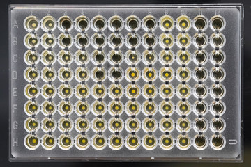 A closeup and top view of a microwell plate inside a scientific laboratory. Used to view test and...